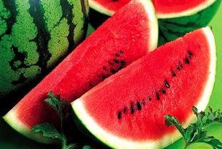 吃瓜能变瘦吗,揭秘瓜果中的瘦身秘密