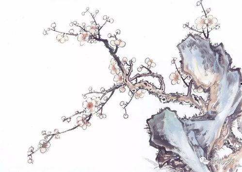 梅花7吃瓜,揭秘吃瓜背后的故事与真相