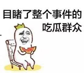 下瓜园吃瓜群众怎么说,吃瓜群众的欢声笑语