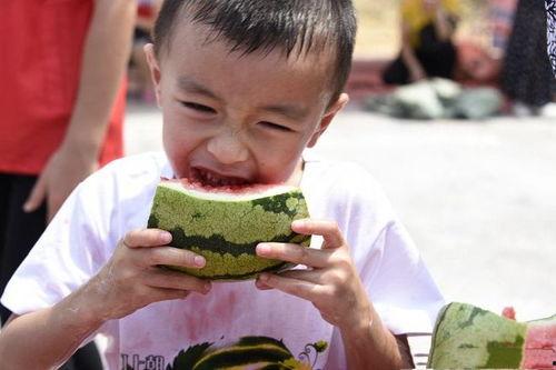 两宝贝吃瓜,揭秘娱乐圈幕后风云