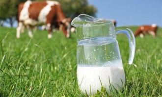 吃瓜奶粉小怡,网络红人的崛起之路