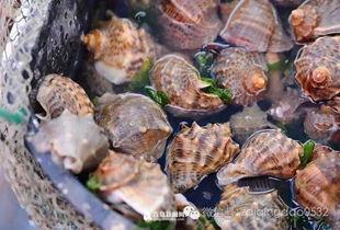 平潭最近吃瓜,揭秘近期热门“吃瓜”事件背后的真相