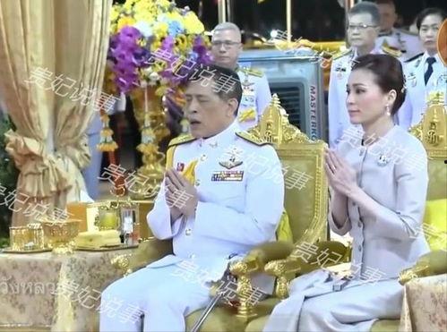 贵妃在线吃瓜 小说,宫廷秘闻背后的娱乐风云