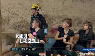 围攻吃瓜,一场全民参与的趣味盛宴