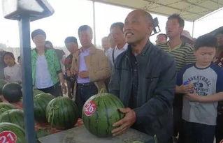 内江吃瓜群众,吃瓜群众的热议焦点