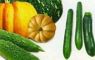 东京吃瓜,一网打尽网红美食与街头趣闻